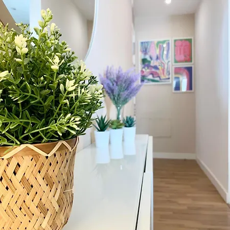 Veleta アパート *